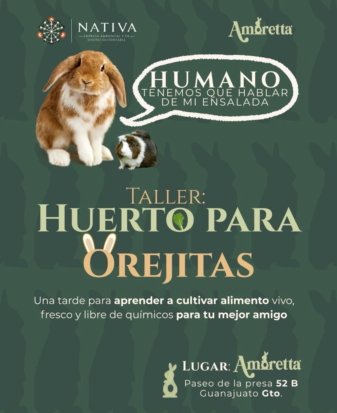 Huerto para Orejitas
Guanajuato, MX